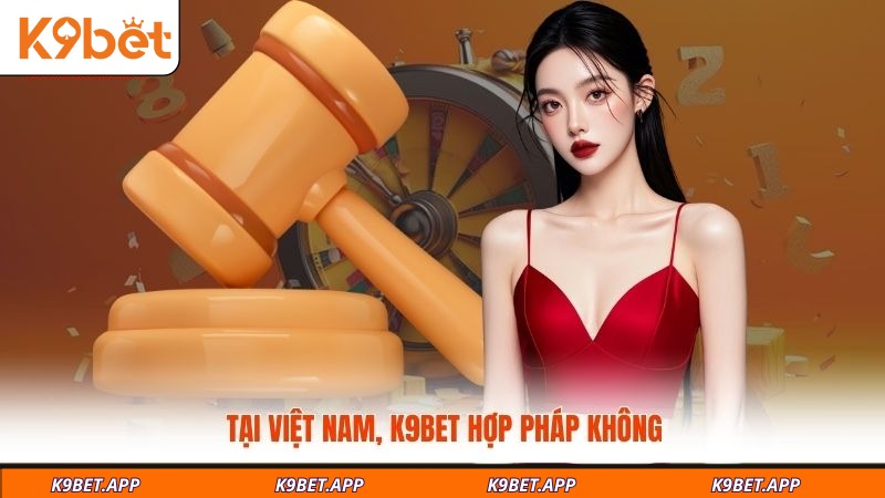 tai-viet-nam-k9bet-hop-phap-khong